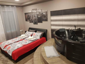 Гостиница Ceca Apartman  Ниш
